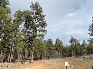 2540 W Whispering Spgs, Show Low, AZ 85901