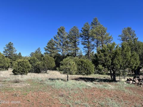 9657 Porter Mountain Rd, Lakeside, AZ 85929