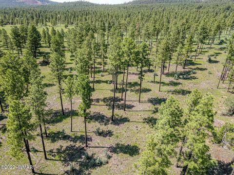 039 Gold Mine Dr # d, Lakeside, AZ 85929