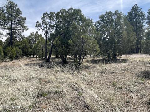 2218 Forest Park Dr, Overgaard, AZ 85933 photo 3