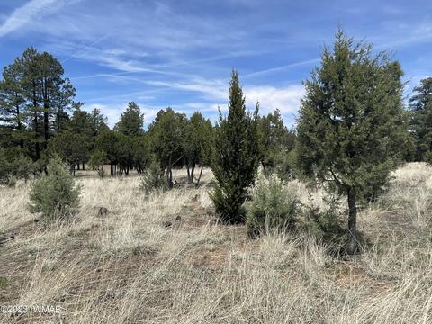 2218 Forest Park Dr, Overgaard, AZ 85933 photo 4