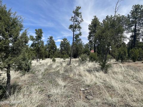 2218 Forest Park Dr, Overgaard, AZ 85933 photo 2