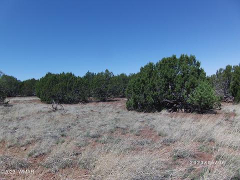 Tbd Powell Ln Parcel 304-14-010e, Show Low, AZ 85901