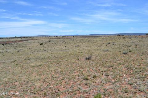 acr 5500 LOT 166, Concho, AZ 85924