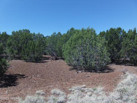 Tbd Powell Ln Parcel 304-14-010f, Show Low, AZ 85901