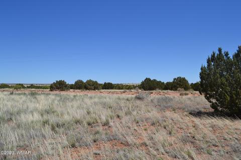 3706 Highland Rd, Snowflake, AZ 85937
