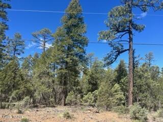 Tbd Rim Spur Dr, Lakeside, AZ 85929