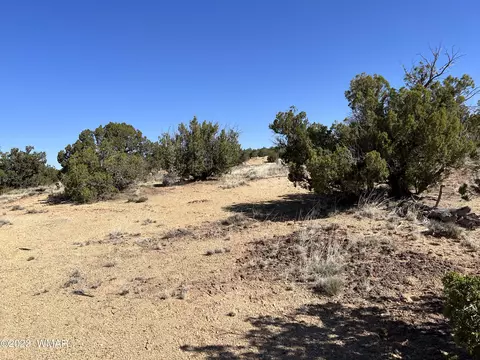 7977 E San Carlos Ln, Snowflake, AZ 85937