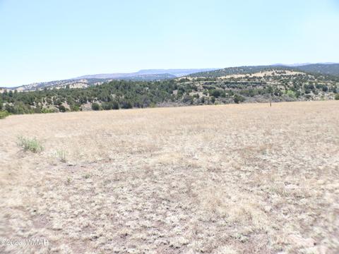 Tbd Az-261, Eagar, AZ 85925 photo 5