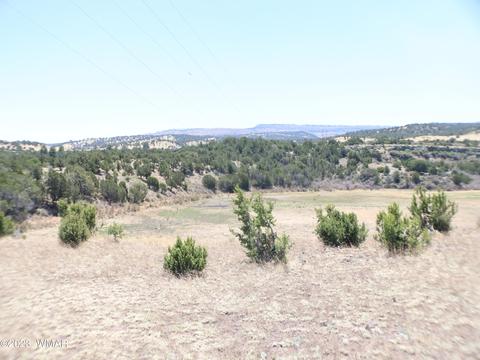 Tbd Az-261, Eagar, AZ 85925 photo 2