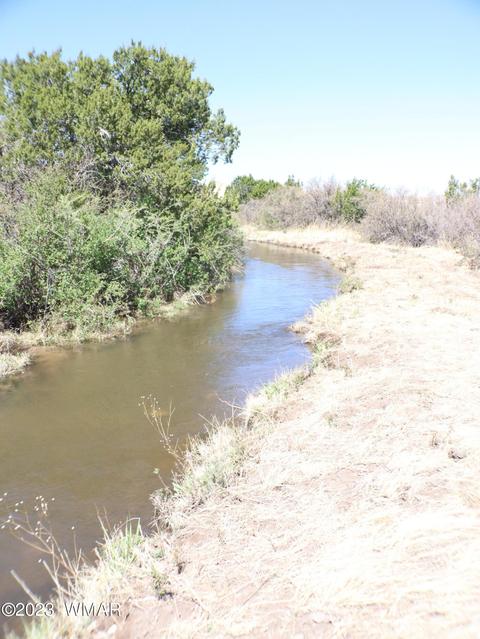 Tbd Az-261, Eagar, AZ 85925 photo 6