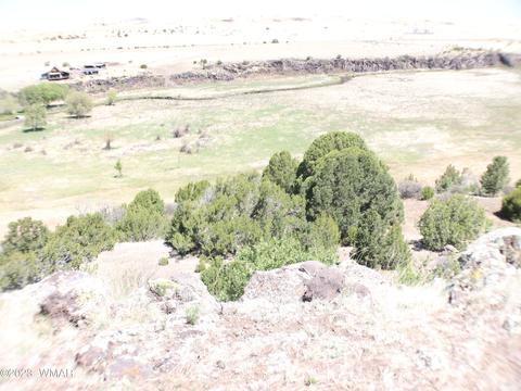 Tbd Az-261, Eagar, AZ 85925 photo 10
