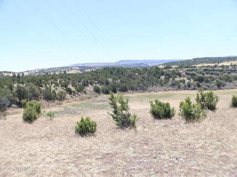 Tbd Az-261, Eagar, AZ 85925 photo 4