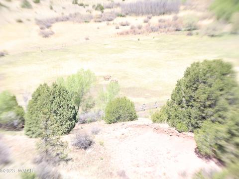 Tbd Az-261, Eagar, AZ 85925 photo 9