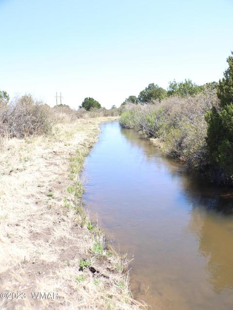 Tbd Az-261, Eagar, AZ 85925 photo 8