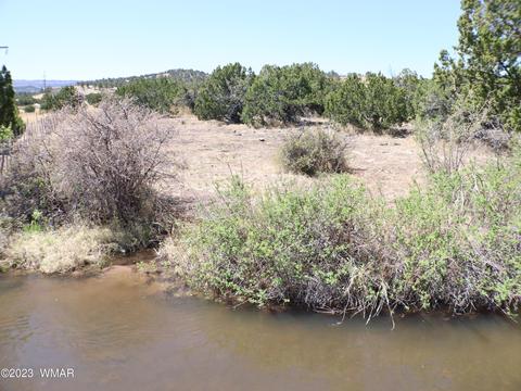 Tbd Az-261, Eagar, AZ 85925 photo 7
