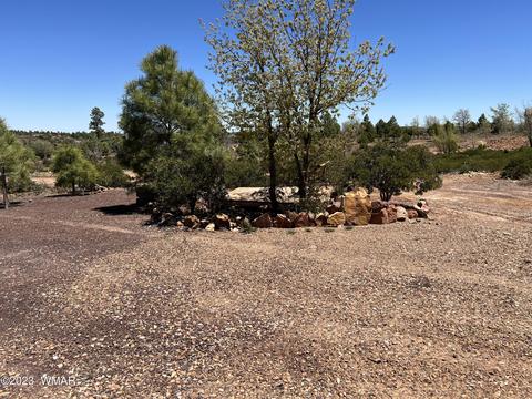 6250 Bull Elk Run, Show Low, AZ 85901