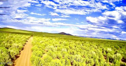 7 Chamisa Ranches Rd, Show Low, AZ 85901