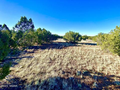 2262 Lassen St, Show Low, AZ 85901