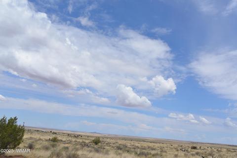 8330 Uttecht Trl, Snowflake, AZ 85937