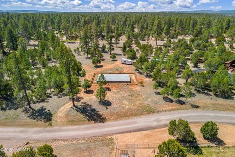 1989 Christmas Pine Cir, Overgaard, AZ 85933