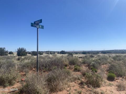0 No Address, Snowflake, AZ 85937