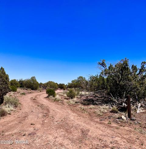 3855 Apache Rd, Snowflake, AZ 85937 photo 1