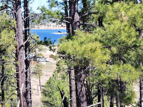 Lot 9 The Ranch At Alpine, Alpine, AZ 85920