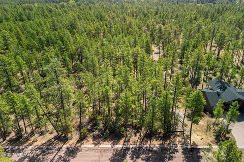 2393 S Aspen Run, Pinetop, AZ 85935