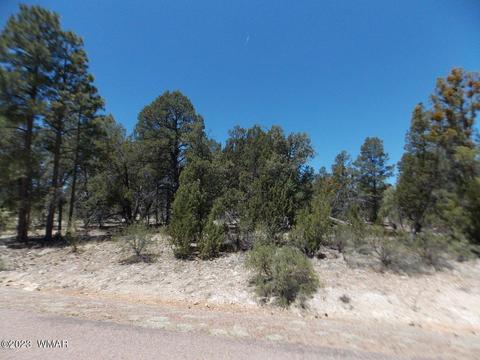 3326 Sawmill Ridge Loop, Heber, AZ 85928