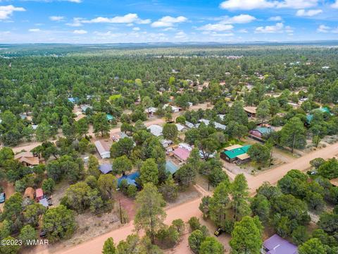 2143 Bluejay Rd, Overgaard, AZ 85933 photo 29
