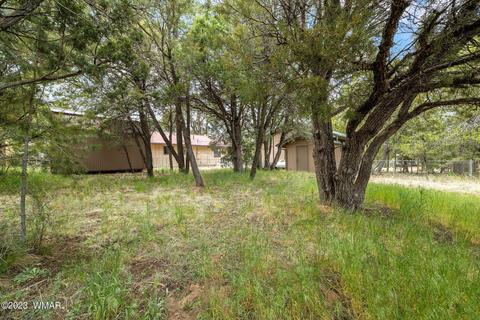 2143 Bluejay Rd, Overgaard, AZ 85933 photo 25