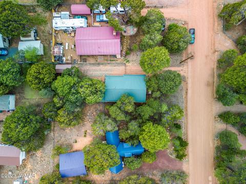 2143 Bluejay Rd, Overgaard, AZ 85933 photo 30
