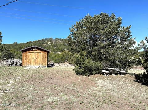 1316 S Pine St, Eagar, AZ 85925 photo 28