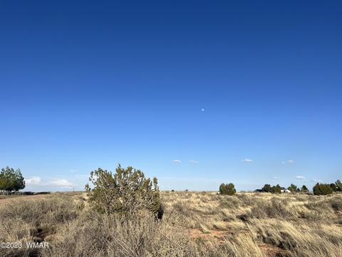 lot50 Pinion Ave, Snowflake, AZ 85937