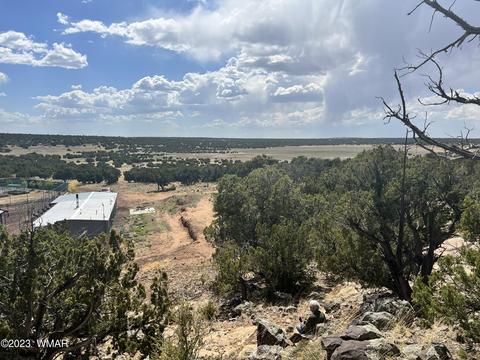 View/Area - 31 Co Rd, Concho, AZ 85924 photo 5 of 15