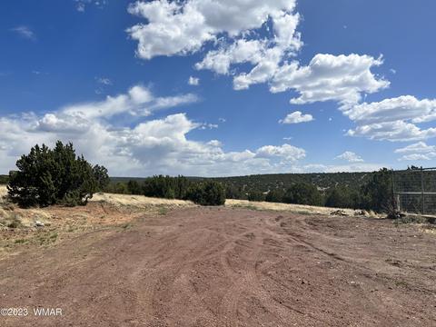 View/Area - 31 Co Rd, Concho, AZ 85924 photo 10 of 15