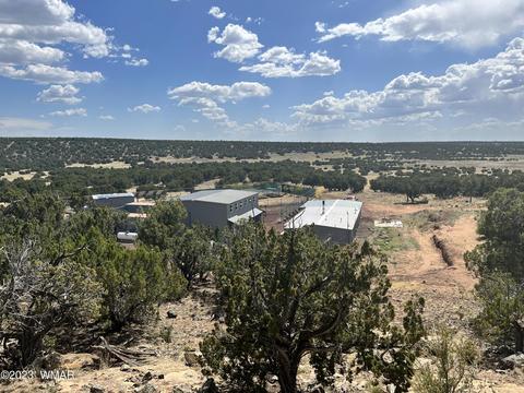 View/Area - 31 Co Rd, Concho, AZ 85924 photo 7 of 15