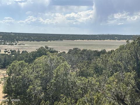 View/Area - 31 Co Rd, Concho, AZ 85924 photo 4 of 15