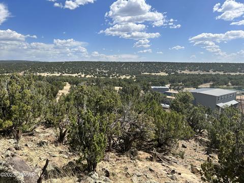 View/Area - 31 Co Rd, Concho, AZ 85924 photo 6 of 15