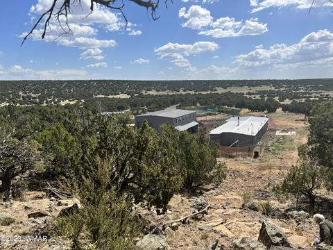 View/Area - 31 Co Rd, Concho, AZ 85924 photo 8 of 15