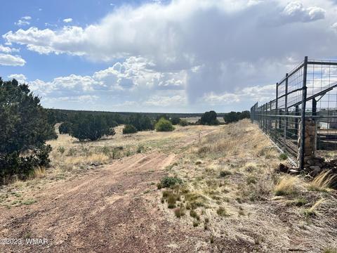 View/Area - 31 Co Rd, Concho, AZ 85924 photo 9 of 15