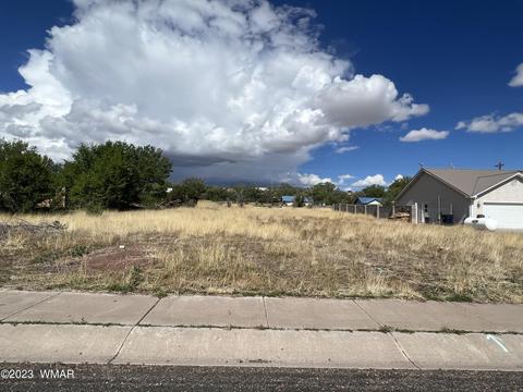 tbd N Voigt St, Springerville, AZ 85938