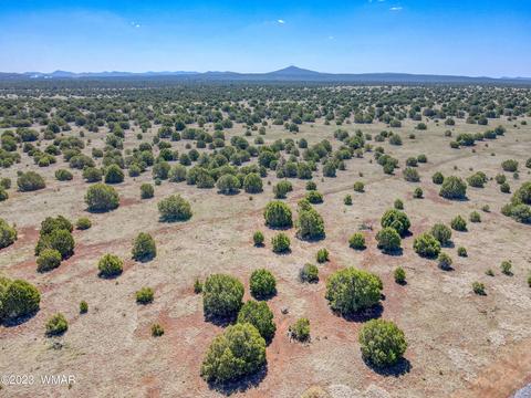 tbd Cooley 11 Acres, Show Low, AZ 85901