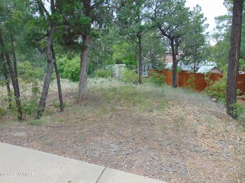 1060 S 9th Ave, Show Low, AZ 85901