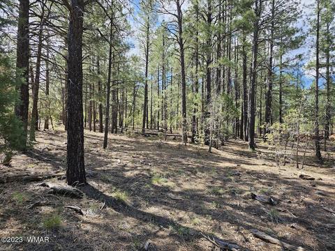 3621 W Falling Leaf Rd, Show Low, AZ 85901