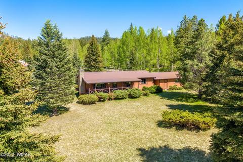 7 County Road 2043, Alpine, AZ 85920