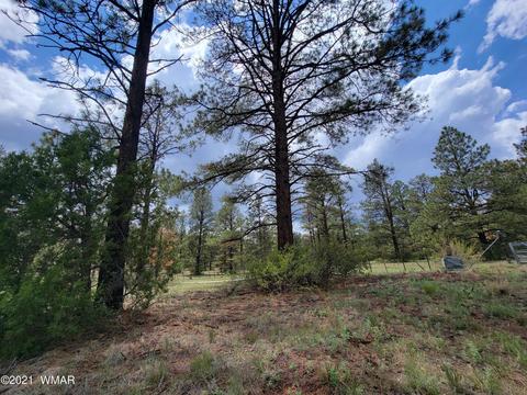 Tbd Acr N1335, Greer, AZ 85927