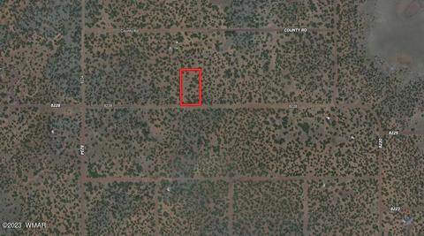 - Show Low Pines Lot 203, Concho, AZ 85924