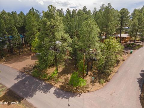 1320 N 22nd Dr, Show Low, AZ 85901
